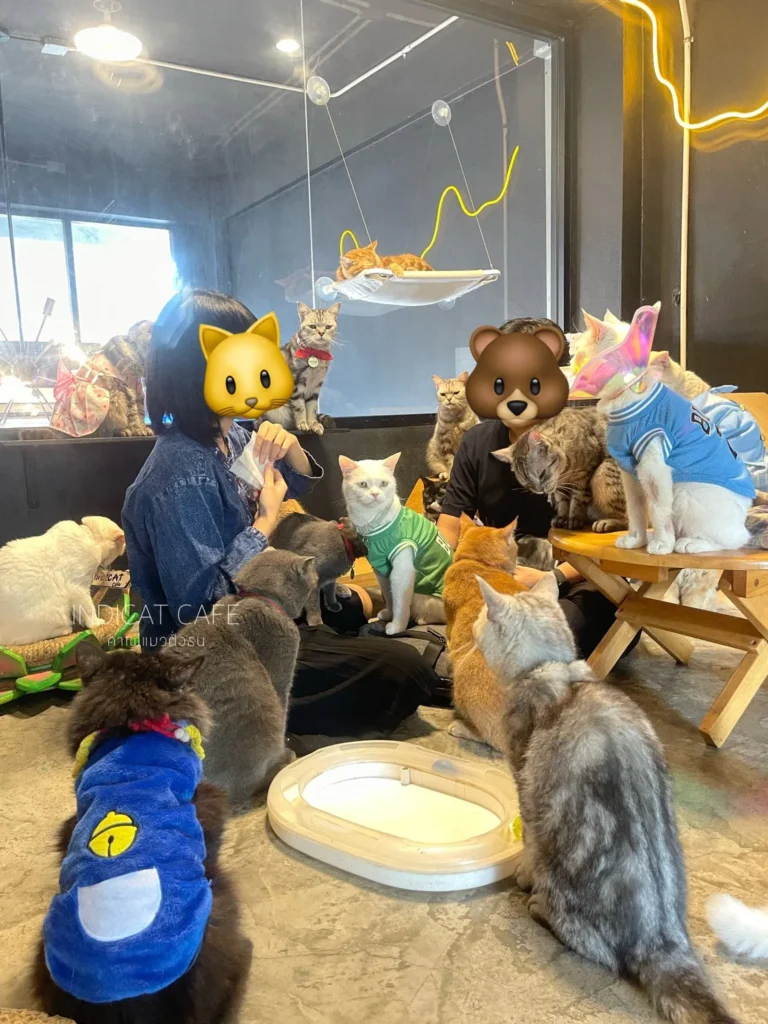 INDICAT CAFE