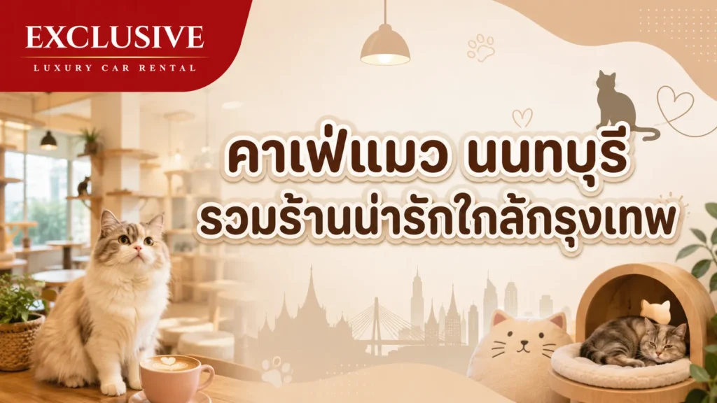 คาเฟ่แมว นนทบุรี รวมร้านน่ารักใกล้กรุงเทพ